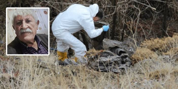 Dere yatağındaki dehşet: Yaşlı adamın kesik başı parçalanmış vücudunun 3 km ötesinde bulundu