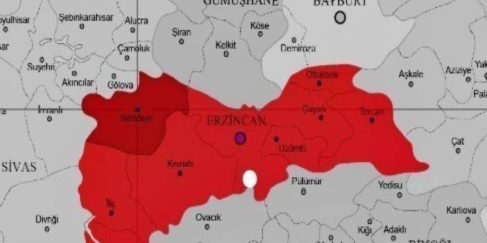 Erzincan'da 4.9'luk deprem: O anlar kameralarda