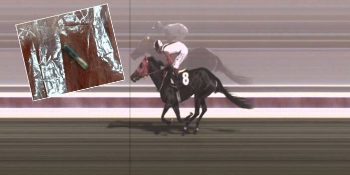 Kavurmanın içinde yarış adı çipi çıkmıştı: Kimliği belli oldu