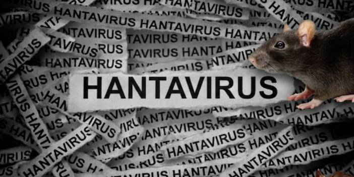 Avrupa’da Hantavirüs alarmı: O ülkede ilk karantina başladı