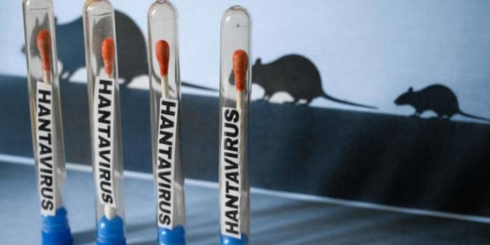 ABD’de hantavirüs alarmı büyüyor: Bir yolcu pozitif çıktı