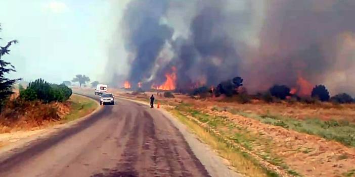 Edirne'de anız yangını ormana sıçradı: Ekipler seferber oldu