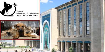 Önce köpeklerin yaşam alanı yıkıldı, şimdi de topluluk kapatıldı! Yıldırım Beyazıt Üniversitesi’nde tansiyon yükseliyor