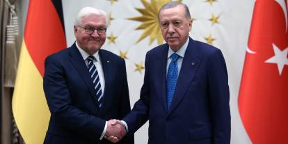 Erdoğan, Almanya Cumhurbaşkanı Steinmeier ile görüştü