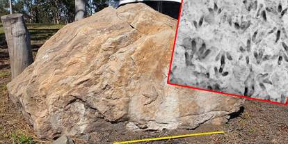 20 yıldan uzun süredir bilinmeden sergileniyordu: 200 milyon yıllık dinozor izleri lisede keşfedildi