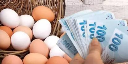 Yumurta fiyatları tavan yaptı: Koli fiyatı 240 liraya dayandı