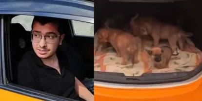 Sahiplendiği 26 köpeği öldüren doktorun savunması pes dedirtti: Polisleri suçladı! Her cümlesi kan dondurdu
