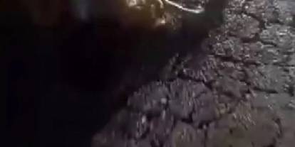 10 küçükbaş hayvan telef oldu