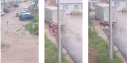 Başıboş köpekler çocuğu metrelerce kovaladı: Korku dolu anlar kameraya yansıdı