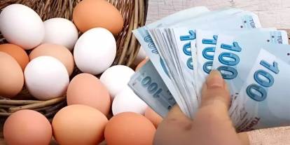Bayram öncesi yüzde 50 indirim geldi: Yumurtanın yeni fiyatı belli oldu