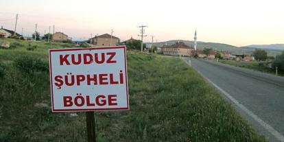 Hatay'da kuduz alarmı