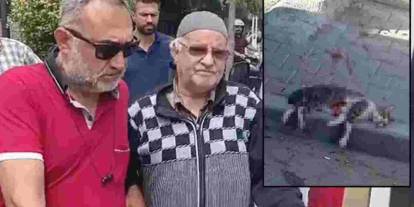 Manisa’da sokak kedisini pompalı tüfekle vuran adam tutuklandı
