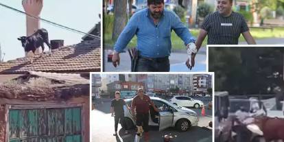 Bayram öncesi acemi kasaplara güzel haber: Artık ellerini kesmeyecekler