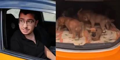 Sahiplendiği yavru köpekleri canice katlettiği iddia edilmişti: O doktora 17,5 yıl hapis talebi