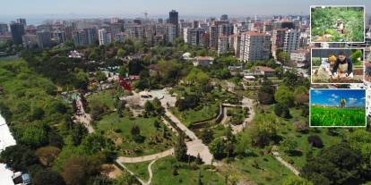 Kadıköy Belediyesi, CDP 2024 A Listesi'nde zirvede