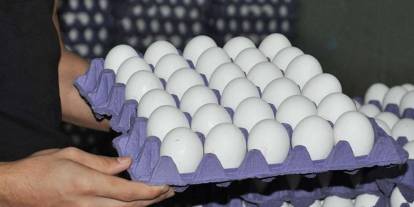 Yumurtada şaşırtan fiyat tersliği: Denge değişti