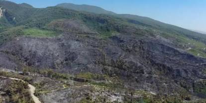 Hatay Dörtyol'daki orman yangını kontrol altına alındı