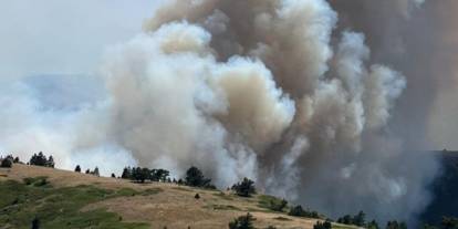 Konya'da orman yangını: Müdahale sürüyor