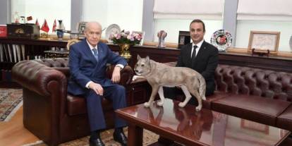 Bahçeli'nin gözde iş adamının şirketi iflasın eşiğinde! Konkordato ilan etti