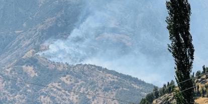 Şırnak'ta orman yangını! 3 saattir yanıyor