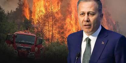 Bakan Yerlikaya'dan orman yangını açıklaması: Büyük seviye 3 yangın kontrol altına alındı