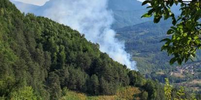 Sinop’ta ormanlık alanda yangın çıktı