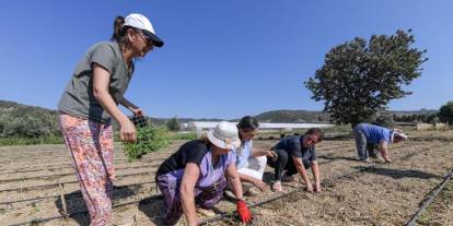 İzmir’de üreticiye Stevia desteği: Türkiye’nin ilk şekersiz gazozu raflarda