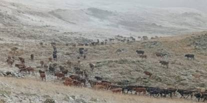 Erzurum'a kar yağdı: Çobanlar zor anlar yaşadı
