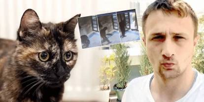 'Cezve' isimli kediyi işkence ederek öldüren Burak Alan'a verilen ceza belli oldu