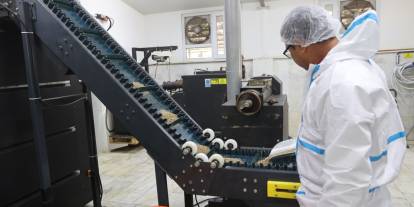 Muğla Büyükşehir Belediyesi’nden sokak hayvanlarına destek: 42 ton mama üretildi
