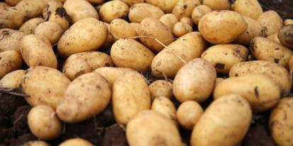 Ticaret Bakanlığı'ndan patates fiyatlarıyla ilgili açıklama geldi: Üreticide 5, markette 25 lira mı?