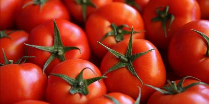 Antalya ekim endeksleri açıklandı: Domates ve sebzede fiyat düştü