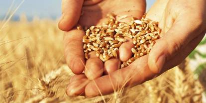 Tohum casusluğu: Çin, yabancı ajanların genetik veri ve tohum çaldığını açıkladı