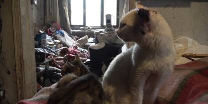 Kötü koku ihbarı gerçeği ortaya çıkardı! Evden 2 kamyon dolusu çöp çıktı