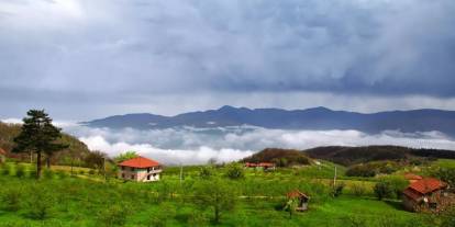 Kıbrıscık yok olma tehlikesiyle karşı karşıya: Başkan Tekemen gözyaşlarını tutamadı