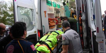 Mantar toplayan imam ayı saldırısına uğradı