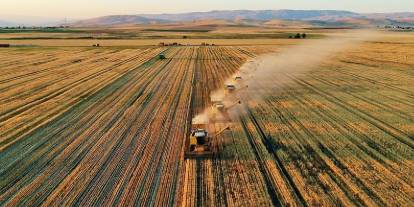 Arsa ve tarlada reel kayıp: 70 ilde fiyatlar enflasyonun gerisinde kaldı