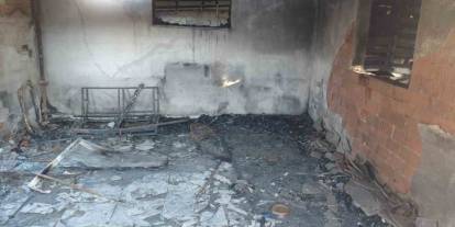 İzmir'de kahreden kaza: 20'den fazla kedi telef oldu