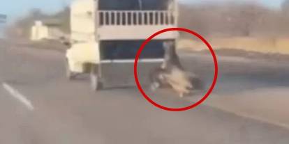 Batman'da kamyonetin arkasındaki at dakikalarca sürüklendi