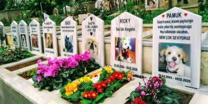 Hayvan mezarlıkları cep yakıyor! Evcil dostu toprağa vermek artık çok pahalı