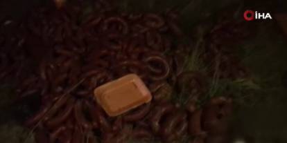 Yüzlerce kilo et boş araziye atıldı