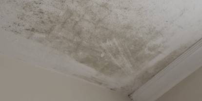 Tavandaki küfü saniyeler içinde söküyor! Sağlığı tehdit eden küfü yok eden tarif