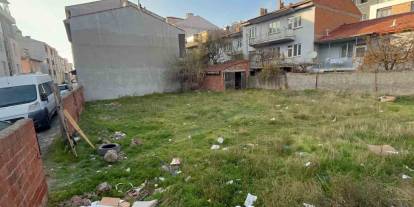 Eskişehir’de vahşet: Boş arsada 8 kedi ölü bulundu