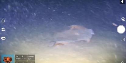 Marmara Denizi'ne 50 yıl önce düşen uçağın enkazı görüldü! Ünlü isimlerin yakınları da vardı