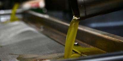 Zeytinyağına büyük zam: TARİŞ alım fiyatlarını yüzde 35 artırdı