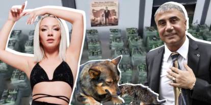 Sedat Peker'in sokak hayvanları için yaptığı dev yardıma Ece Seçkin'den tam destek: İçimizi ısıttı