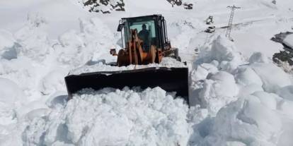 Artvin'de çığ düştü! 6 çobandan 3'ü çığ altında kaldı