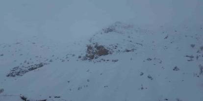 Batman'da çığ felaketi: 45 küçükbaş hayvan telef oldu