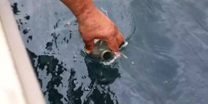 Rize Çayeli'nde petrol umudu yükseldi: Analizler olumlu çıktı