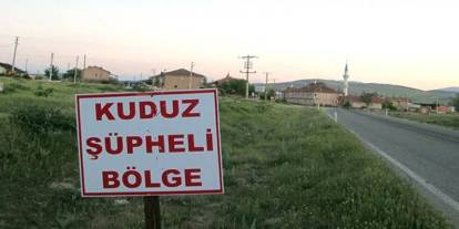 Bir ilde kuduz alarmı: 7 mahalle karantinaya alındı